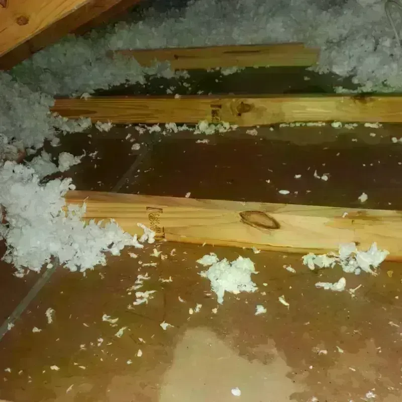 Attic Water Damage in Saint Marys, KS