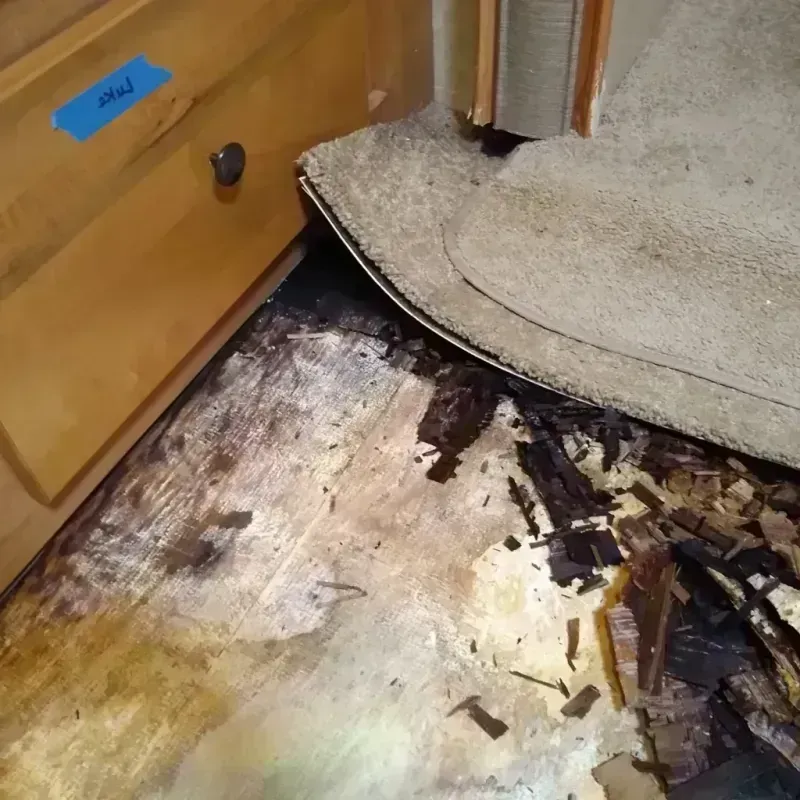 Wood Floor Water Damage in Saint Marys, KS